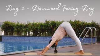 Day 2 - Downward Dog  Fifteen days of Yoga for Beginners